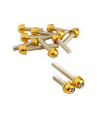 VIS TUN'R CARTER CHC CONIQUE ADAPT. BOOSTER/BW'S ACIER OR 6X25/40/45 (X12)