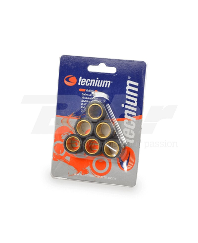 Jeu de galets TECNIUM 20x17mm 10gr - 6 pieces 20X17-10G