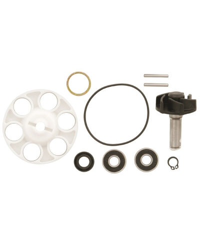 Kit reparation de pompe a eau V PARTS FS-129B-1-M