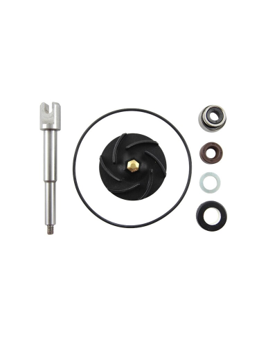 Kit reparation de pompe a eau V PARTS FS-141