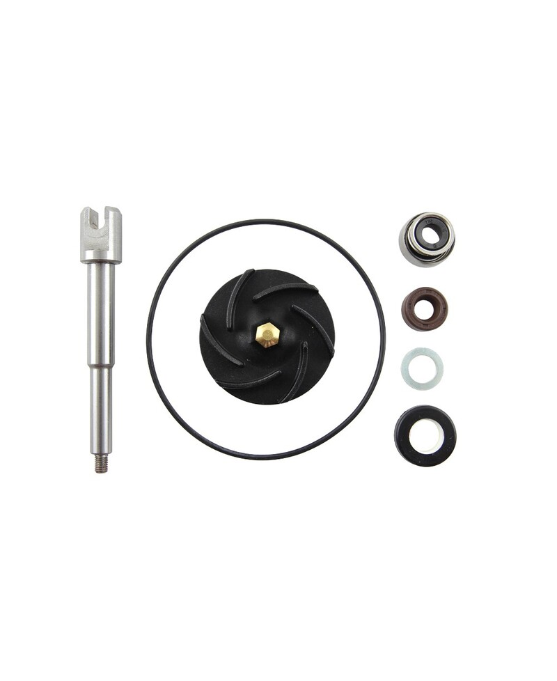 Kit reparation de pompe a eau V PARTS FS-141