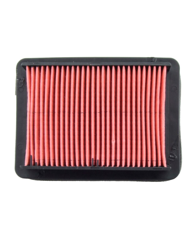 TECNIUM Filtre a air - Type origine Moteur MT201-OT314