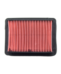 TECNIUM Filtre a air - Type origine Moteur MT201-OT314