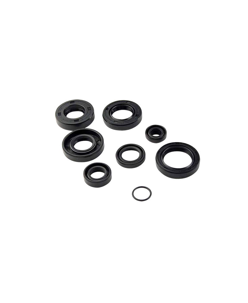 JOINT SPI MOTEUR MECABOITE TEKNIX ADAPT. AM6 (KIT COMPLET)