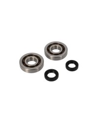 ROULEMENT VILO + JTS SPI SCOOTER ADAPT. PIAGGIO TYPHOON/NRG/RUNNER/STALKER/ZIP/FLY 2T/DNA