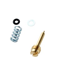 VIS DE RICHESSE DELLORTO CARBU PHBG (COMPLET)