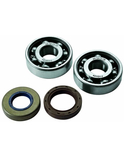 ROULEMENT VILO + JTS SPI MECABOITE ADAPT. AM6 - 6303 C4 CAGE ACIER