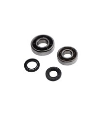 ROULEMENT VILO + JTS SPI CYCLO ADAPT. PEUGEOT 103 - 6203 C3 ET 6204 C3 FAG CAGE POLYAMIDE