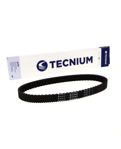 TECNIUM Courroie CVT EliteGrip AUS24-10