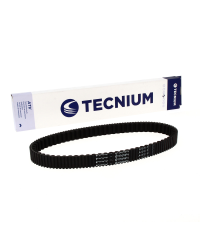 TECNIUM Courroie CVT EliteGrip AUS24-10