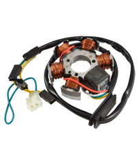 STATOR MECABOITE TEKNIX ADAPT. AM6/DERBI SENDA/RS4/GPR EURO3 - 80W (TYPE DUCATI)