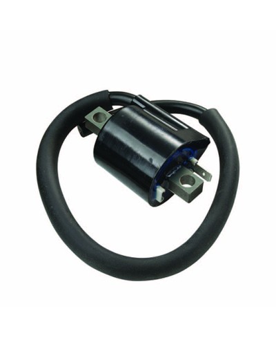 BOBINE H.T. SCOOTER/MECABOITE EXT. TEKNIX ADAPT. BOOSTER/NITRO/SR50/BETA/TZR/CPI/MRT/PW50