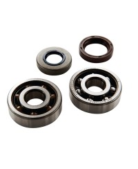 ROULEMENT VILO + JTS SPI MECABOITE TOP PERF ADAPT. AM6 - 6303