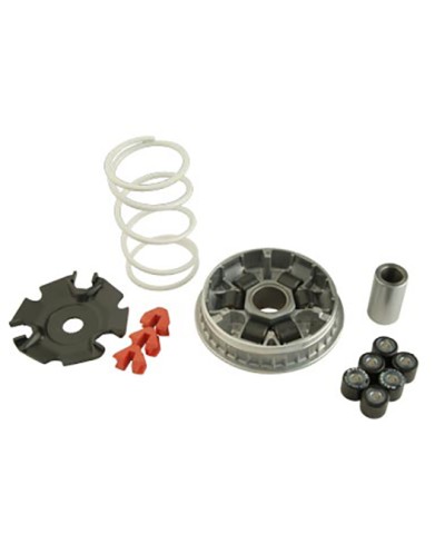 VARIATEUR MAXI SCOOTER MALOSSI MULTIVAR ADAPT. 125 PIAGGIO X10/X9/X8/X7/VESPA/MP3/LIBERTY