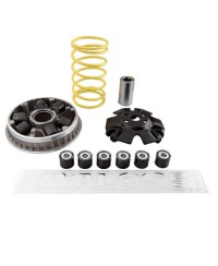 VARIATEUR MAXI SCOOTER MALOSSI MULTIVAR ADAPT. 125/150 YAMAHA XMAX/MAJESTY LC