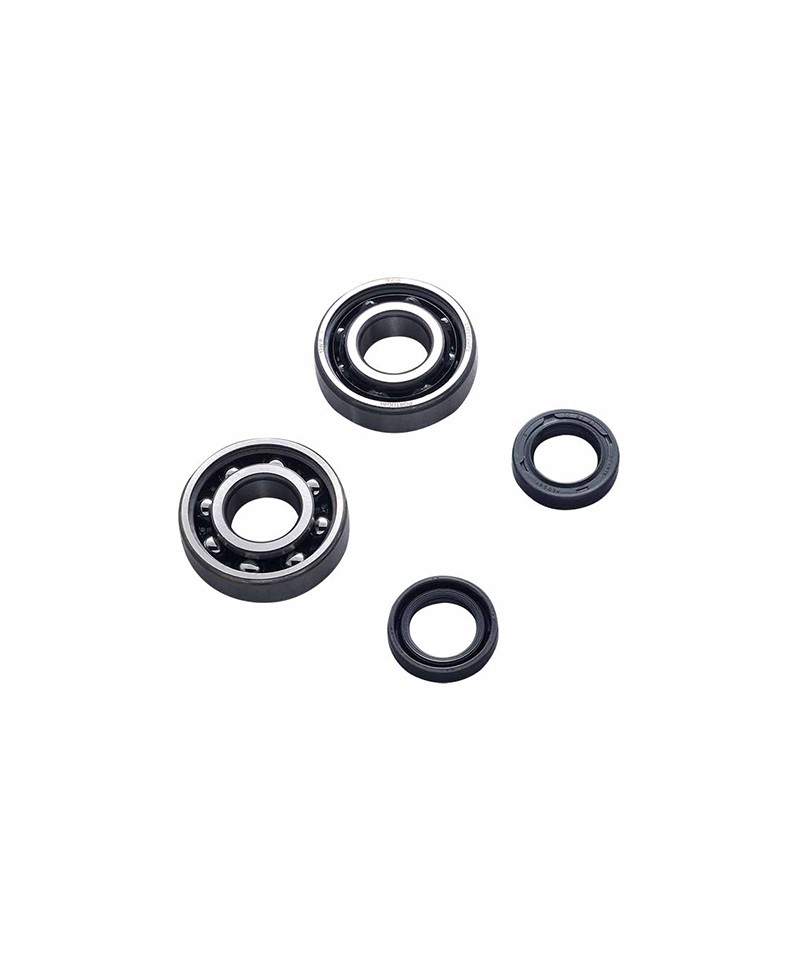 ROULEMENT VILO + JTS SPI SCOOTER ADAPT. LUDIX/SPEEDFIGHT 3/VIVACITY 3/KISBEE SKF POLYAMIDE