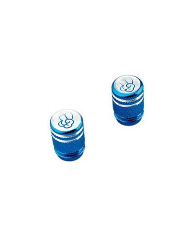 CAPUCHON/BOUCHON VALVE TUN'R TO COOL MOLETE BLEU (X2)