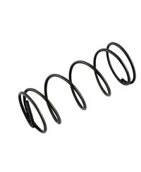 RESSORT BOISSEAU CARBU DELLORTO SHA