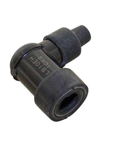 ANTIPARASITE NGK LB10EH