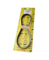 COURROIE SCOOTER TOP PERF ADAPT. BOOSTER/NITRO/SR50/F12/BIG MAX 751X16.9X7.8