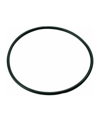 COURROIE CYCLO POMPE A EAU POLINI