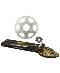 KIT CHAINE AFAM ADAPT. RIEJU RS2 MATRIX 2002 420 (13X47)