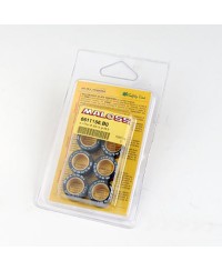 ROULEAU/GALET MAXI SCOOTER MALOSSI 20X12  8,0 G. (X6)