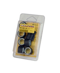ROULEAU/GALET MAXI SCOOTER MALOSSI 25X14,9 16,0 G. (X8)