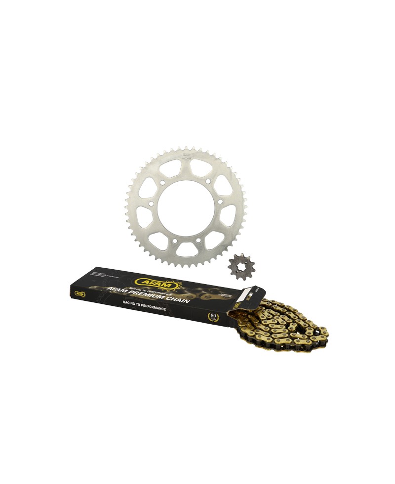KIT CHAINE AFAM ADAPT. DERBI SENDA SM/R DRD PRO/RACING 420 11/53 (ORIGINE) D102 FIX 3X2