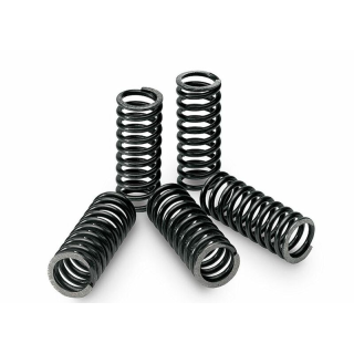 Kit ressorts d'embrayage TECNIUM boîte de 4 Yamaha YZ80 18444