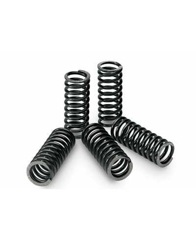 Kit ressorts d'embrayage TECNIUM boîte de 5 KTM EXC/SX125 18466