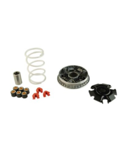 VARIATEUR MAXI SCOOTER MALOSSI MULTIVAR ADAPT. 200/250/300 X8 X9/VESPA/MP3