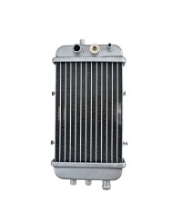 RADIATEUR MECABOITE TEKNIX ADAPT. DERBI SENDA/RCR/SMT/RX50/SX50 2000 et +