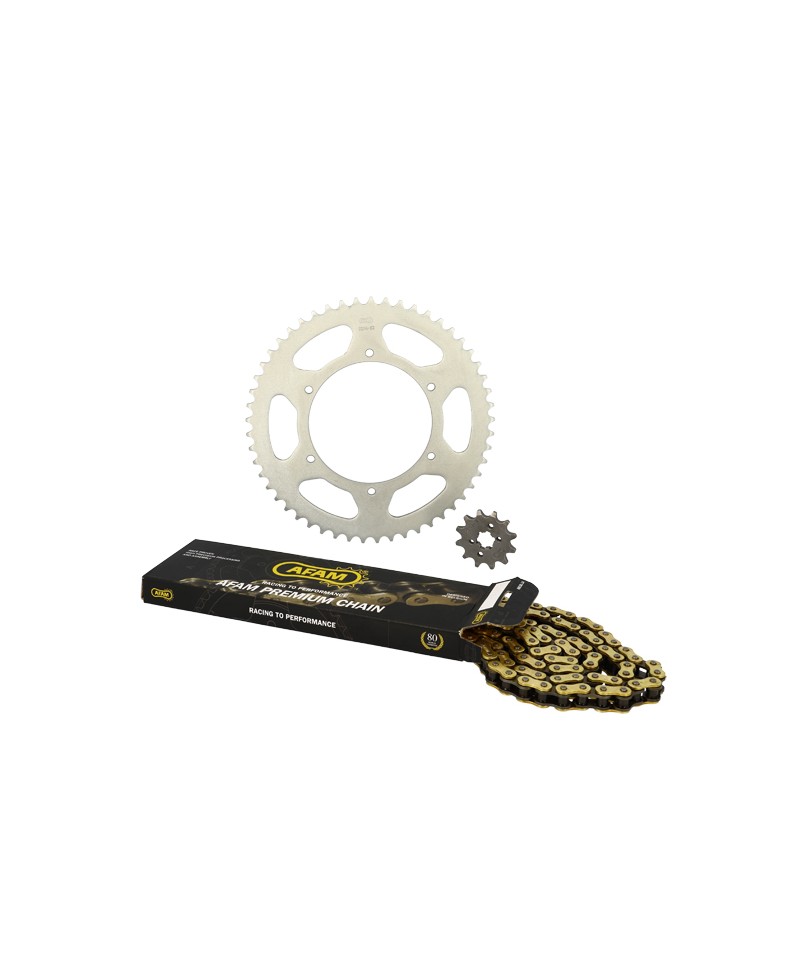 KIT CHAINE AFAM ADAPT. DERBI SENDA SM DRD/RACING/EVO/GPR NUDE/RACING/RS4 420 12X53 D108 6T