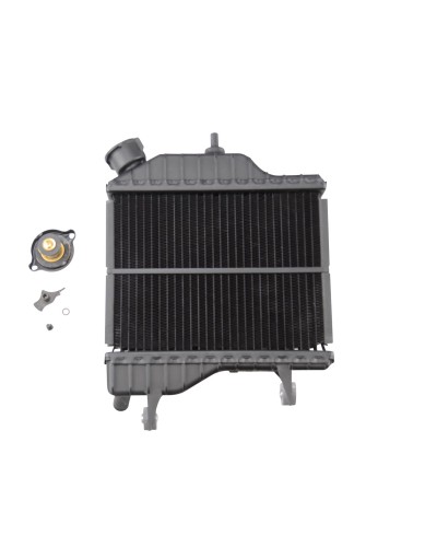 RADIATEUR MECABOITE TZR/XPOWER TOUTES ANNEES (4BAE24600000)