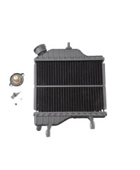RADIATEUR MECABOITE TZR/XPOWER TOUTES ANNEES (4BAE24600000)