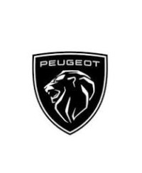 AIGUILLE CARBU SCOOTER OEM PEUGEOT SPEEDFIGHT 4 2T/CITYSTAR/KISBEE/STREETZONE10-12"