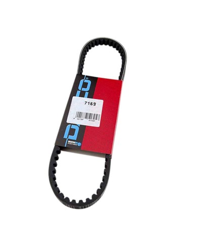 COURROIE CYCLO DAYCO 7169 ADAPT. 103 MVL/SP CRANTE (870X13.0)