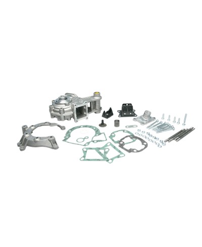 CARTER MOTEUR CYCLO MALOSSI ADAPT. 103 SP/MVL/VOGUE