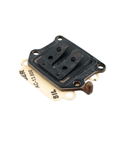 CLAPET SCOOTER MALOSSI VL10 CARBONE ADAPT. BOOSTER/BW'S/STUNT/SLIDER/ROCKET