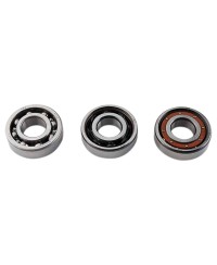 ROULEMENT VILO 6204 C4 SKF CAGE ACIER ADAPT. 103 GAUCHE/LUDIX/SENDA/BOOSTER/CPI (X1)