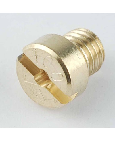 GICLEUR PHBG/SHA 100          (DIAM. 5)