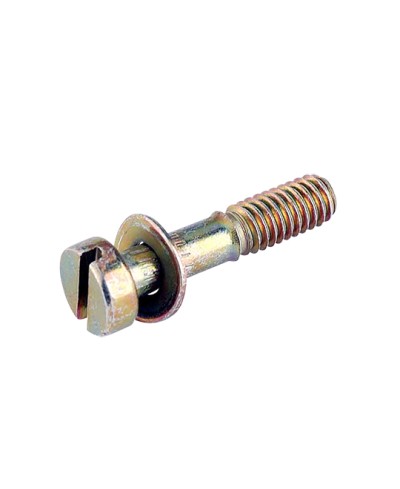 VIS DE CUVE DELLORTO CARBU PHBN/PHVA (AVEC RONDELLE)