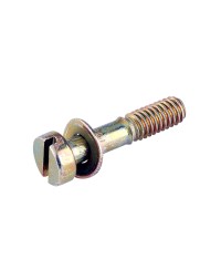 VIS DE CUVE DELLORTO CARBU PHBN/PHVA (AVEC RONDELLE)