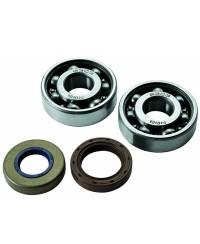 ROULEMENT VILO + JTS SPI MECABOITE ADAPT. AM6 - 6303 C4 CAGE ACIER