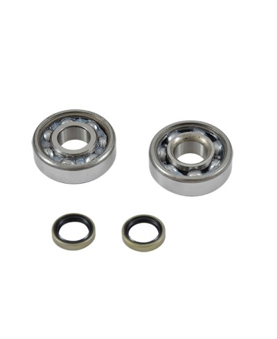 ROULEMENT VILO + JTS SPI CYCLO ADAPT. MBK 51/88/89 - 6302QR (4401466CC) C3 SKF CAGE ACIER