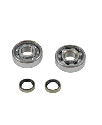 ROULEMENT VILO + JTS SPI CYCLO ADAPT. MBK 51/88/89 - 6302QR (4401466CC) C3 SKF CAGE ACIER