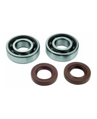 ROULEMENT VILO + JTS SPI MECABOITE ADAPT. DERBI EURO2/EURO3/EURO4 - 6204 C4 SKF CAGE POLYA