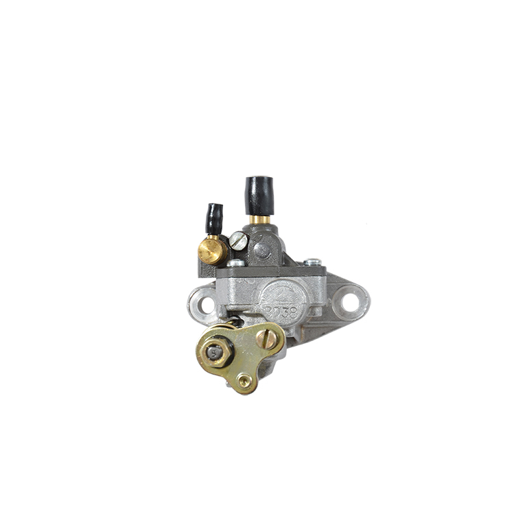 POMPE A HUILE MECABOITE DELLORTO ADAPT. AM6 - PLBD38