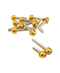 VIS TUN'R CARTER CHC CONIQUE ADAPT. BOOSTER/BW'S ACIER OR 6X25/40/45 (X12)